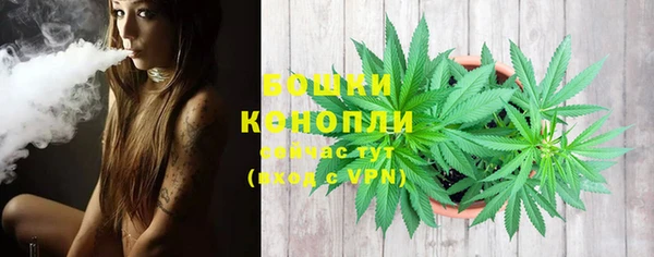 бошки Богородицк