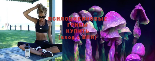 скорость Богданович