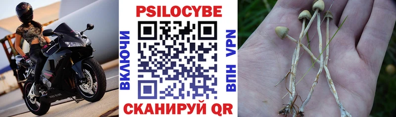 Галлюциногенные грибы мухоморы как найти закладки Гусев